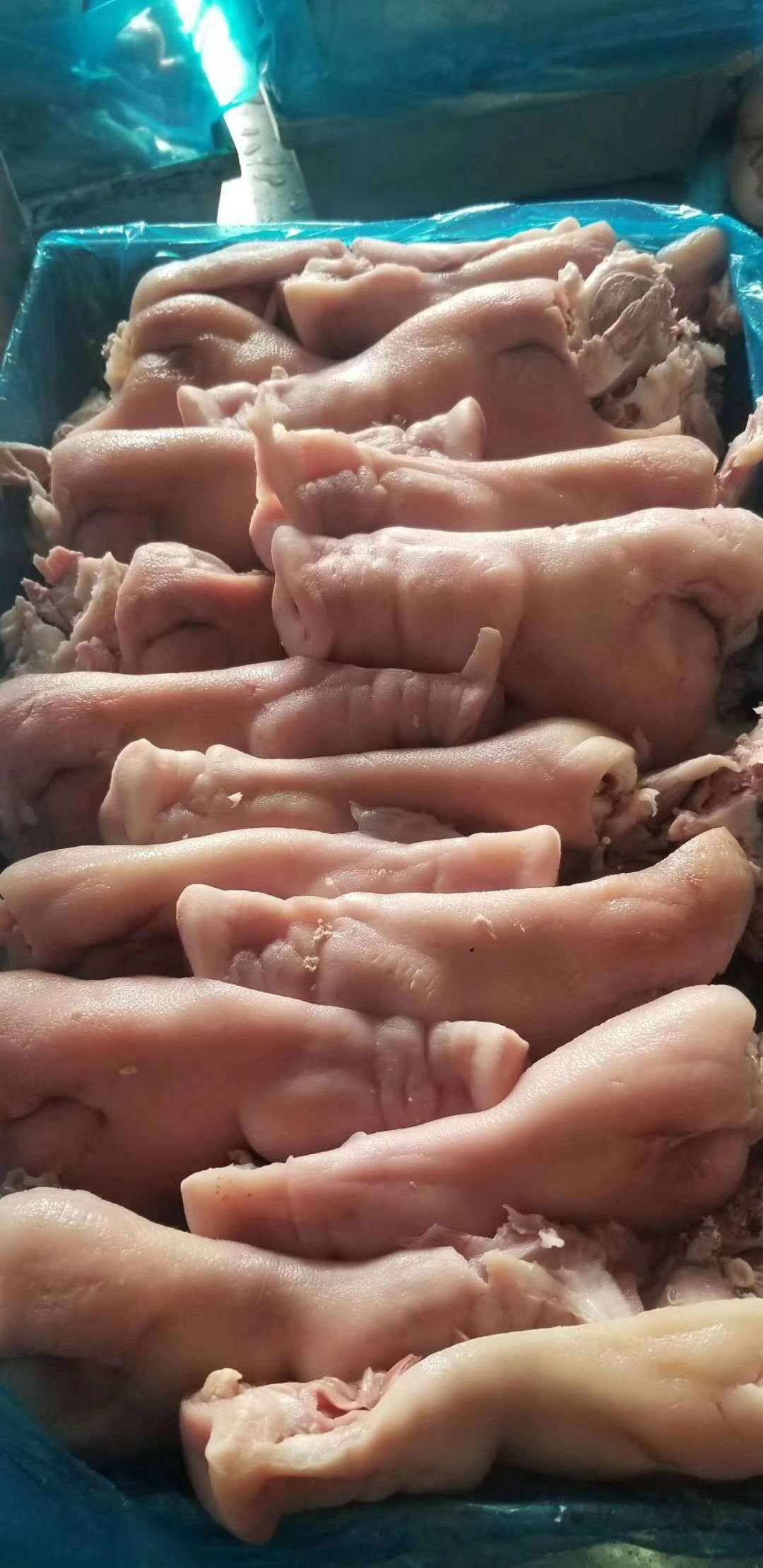 猪肉类  厂家直销，量大从优！