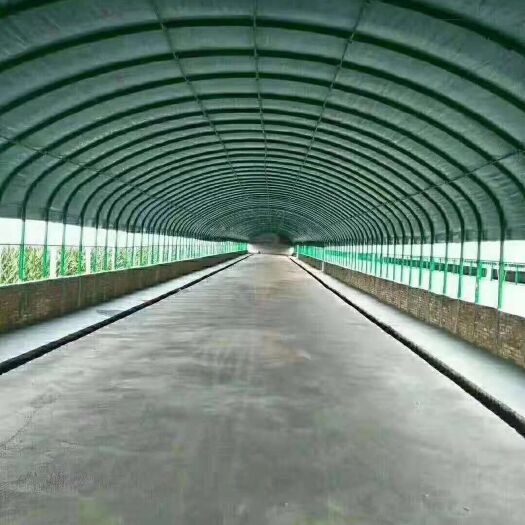 天津钢管大棚 椭圆管圆管c字钢蔬菜大棚日光温室连栋养殖大棚香菇棚蒙古包
