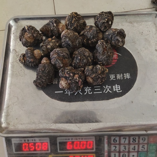 黑玛咖 36－38头的大黑玛卡
