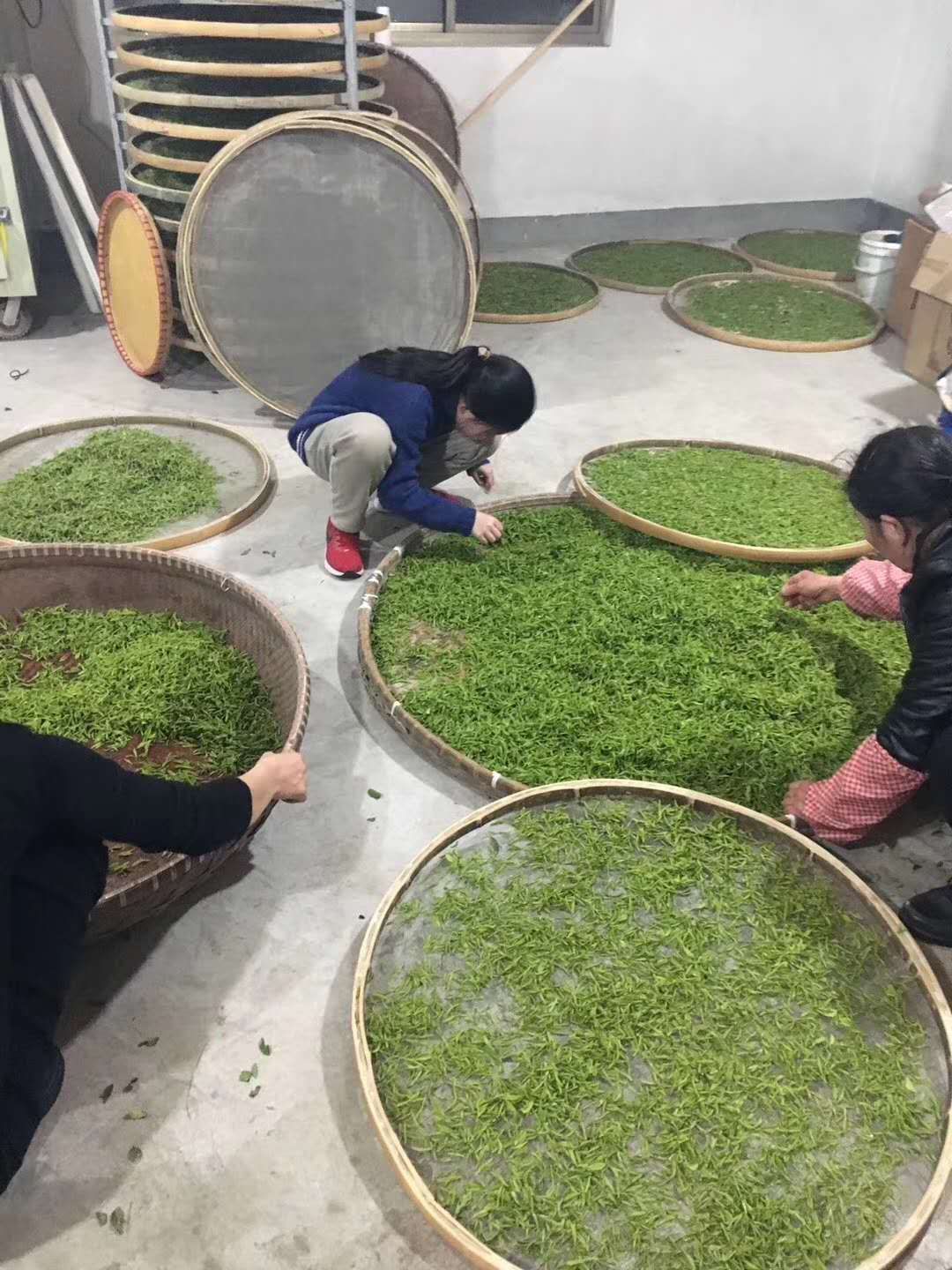 龙井茶  ，2020新茶，茶农直销，初级农产品，欢迎选购。