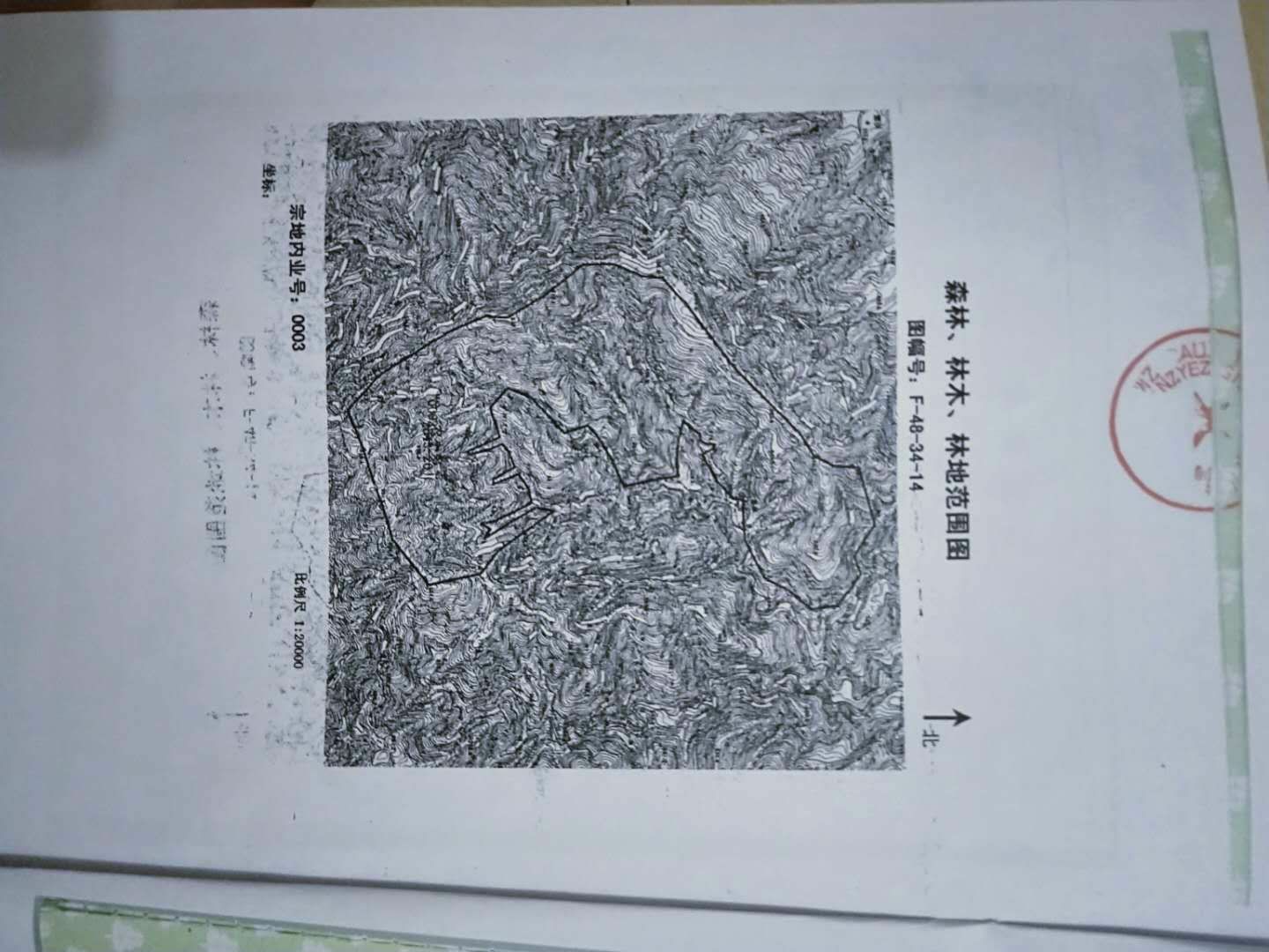 德保县河流 2600亩土地  招募合伙人
