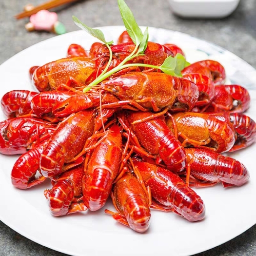 潜江市 潜江 小龙虾 规格齐全 产地直发！包售后
