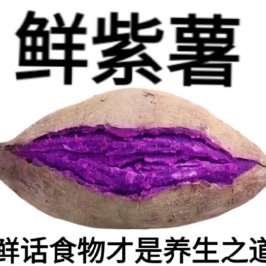 迁安市小紫薯富跴小紫薯富含花青素营养天然单果二两左右小果十斤装包邮