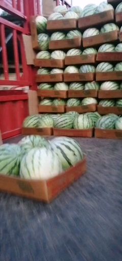 汨罗市种植大棚  大棚优质美都诚信代收代发全国各地，当天行情为主