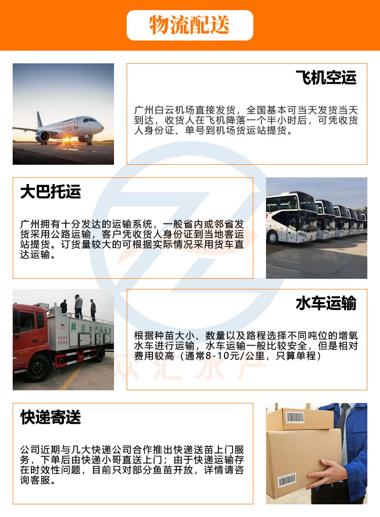 草鱼苗 广东靓身草鱼 鲩鱼苗 养殖基地批发 价格优惠