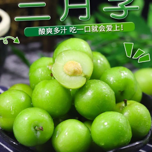 东山县三月李  新鲜三月李专发特大果无苦无涩孕妇水果1-5斤包邮支