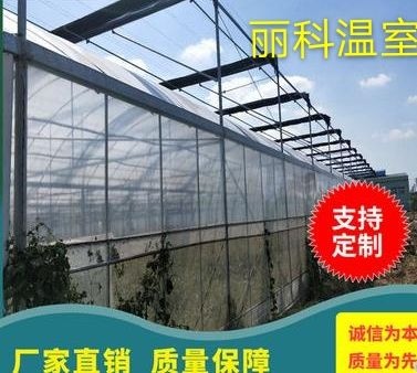 玻璃温室大棚  温室大棚，联体大棚，外遮阳连体大棚，内遮阳连体大棚