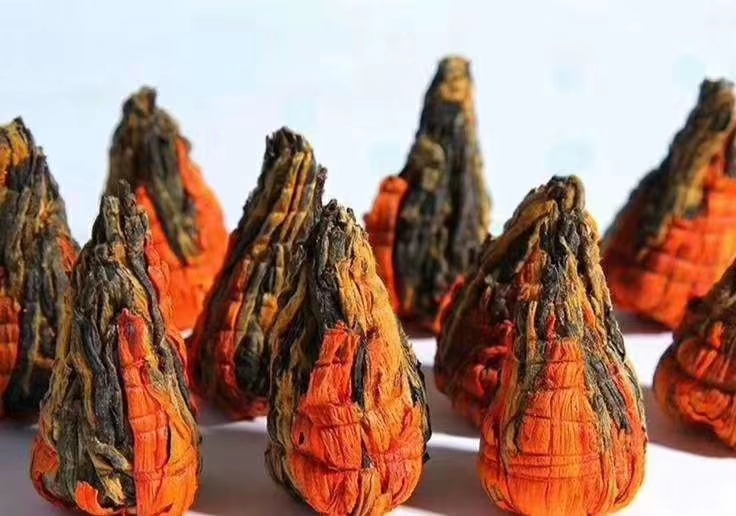 大金针 一年茶，两年药，三年宝，