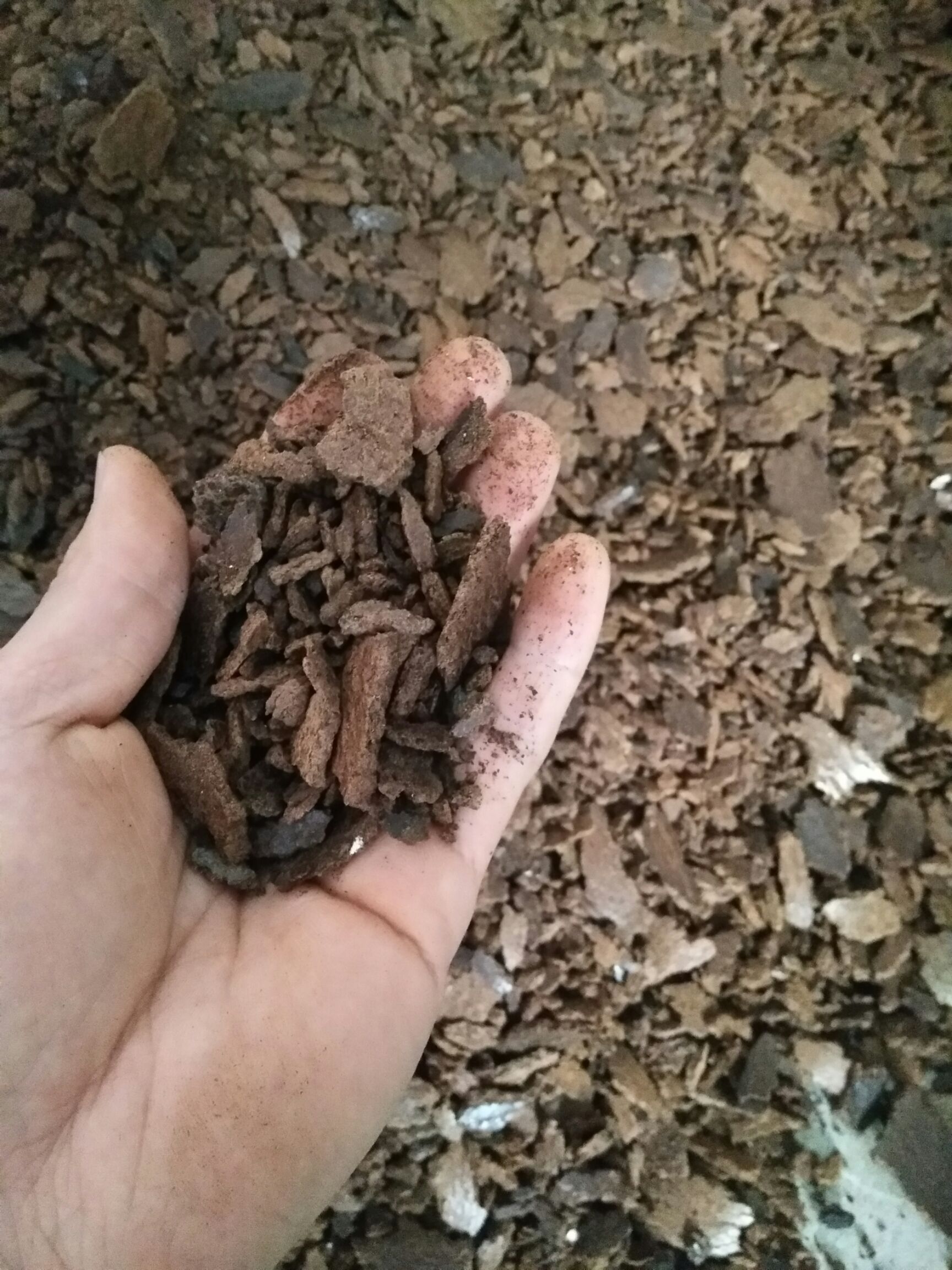 菜籽油渣 油菜籽枯，油饼