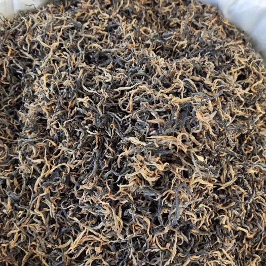 佛山古树红茶
