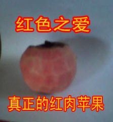 临沂红肉苹果树苗 红色之爱红瓤苹果苗红肉苹果苗