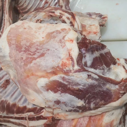 宁城县羊排 生肉