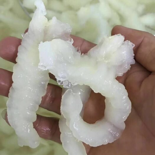 湛江 佛跳墙小龙胶柳叶花胶深海黄花胶产地直销酒店餐饮鱼胶