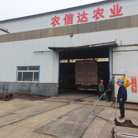 天津钢管大棚 温室大棚