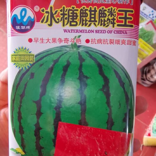冰糖麒麟王西瓜种子高糖度抗病耐裂耐运输品种口感好基地专用品