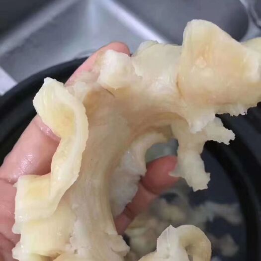 海口 鳕鱼胶