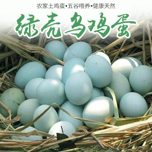 中江县 农家散养绿壳土鸡蛋乌鸡蛋正宗新鲜天然柴鸡蛋绿壳鸡蛋