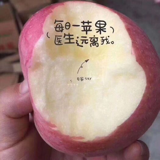 延安 延安山地苹果80装
