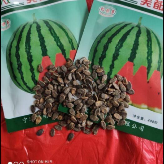 夏邑县正品美都西瓜种子400粒  多汁  高产