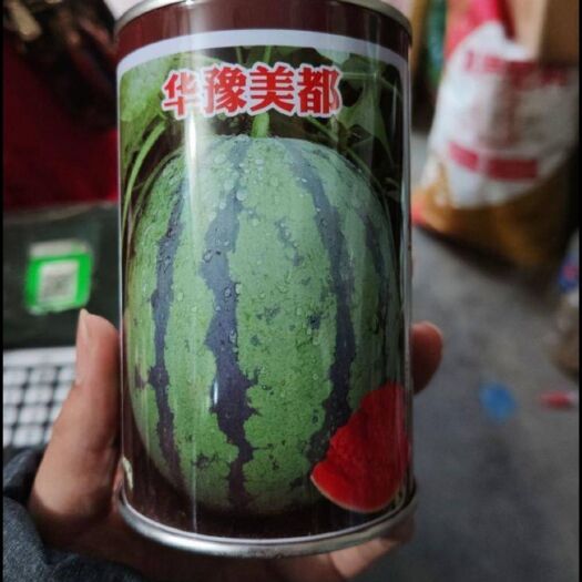 夏邑县 美都西瓜种子  1000粒  高品质 高产量