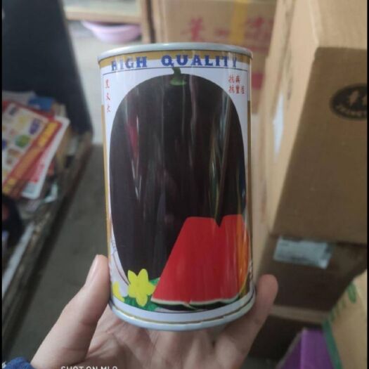 夏邑县 巨星金刚  （黑大帅）西瓜种子，抗病抗重茬，糖高，产量高