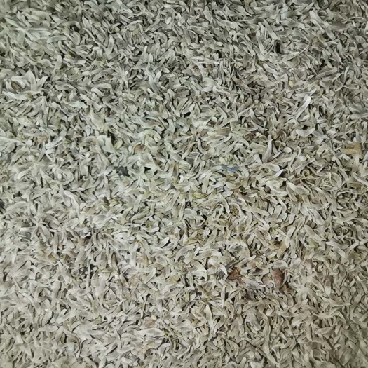 清原县山龙胆  产龙胆草种，正宗北龙胆基地。可来考察参