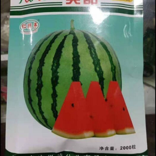 夏邑县 美都西瓜种子   红酥手正品   甜度好高 高产