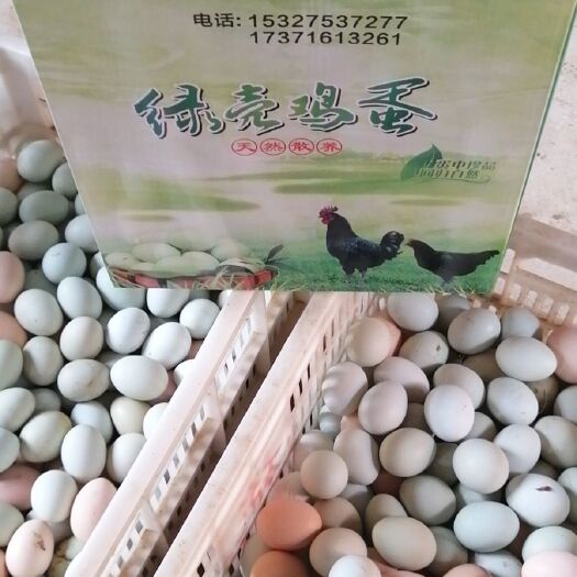 钟祥市土鸡蛋 食用 箱装