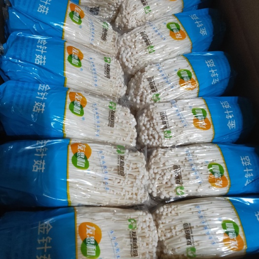 济宁 精品金针菇