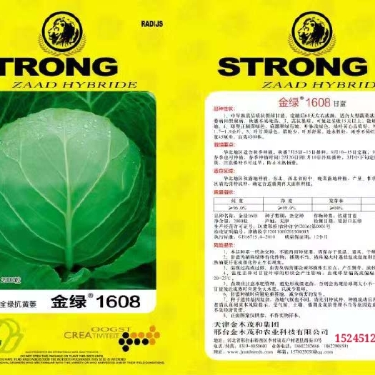 南宫市绿甘蓝种子 金绿1608甘蓝种子，湖北省，湖南省，四川省，等地，越冬品种