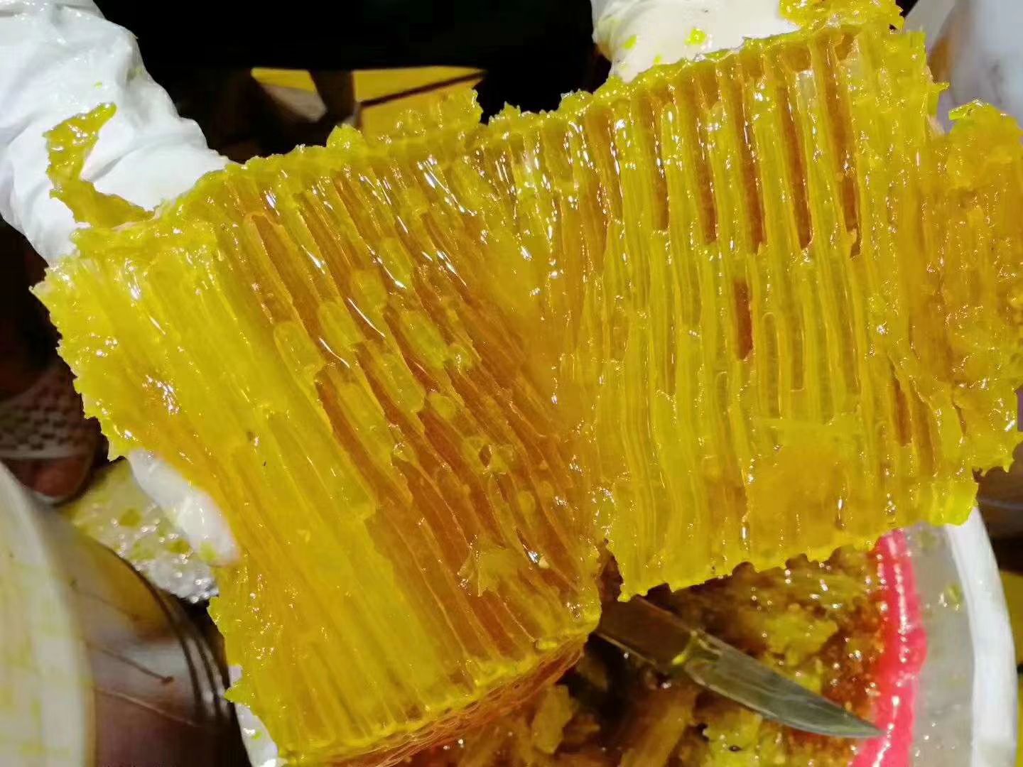 野生蜂蜜 悬崖蜜