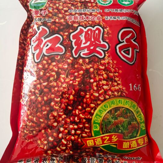 周口红缨子高粱种子 亲本（不育系） ≥95%