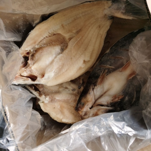 成都全规格巴沙鱼