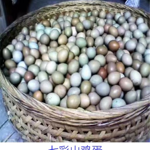 漳州七彩土鸡蛋  七彩鸡蛋