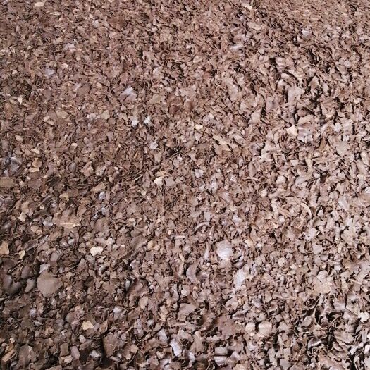 河池 新鲜茶枯