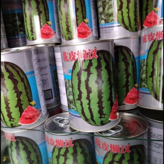 夏邑县 懒汉西瓜种子