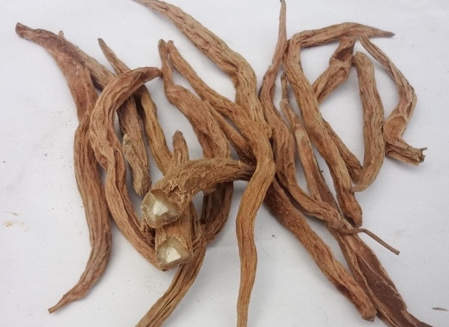 玉林 百部一手货源，质优价廉