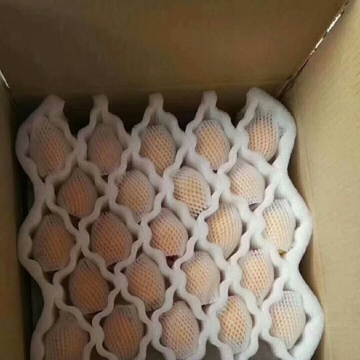 莆田早钟六号枇杷 求助，今年抗击疫情消路迷茫有需要的朋友可以合作批发或单独购买