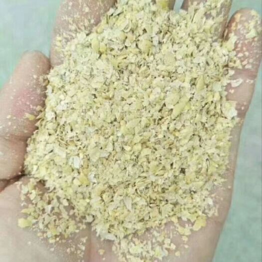 日照黄大豆 出售山东碎豆皮