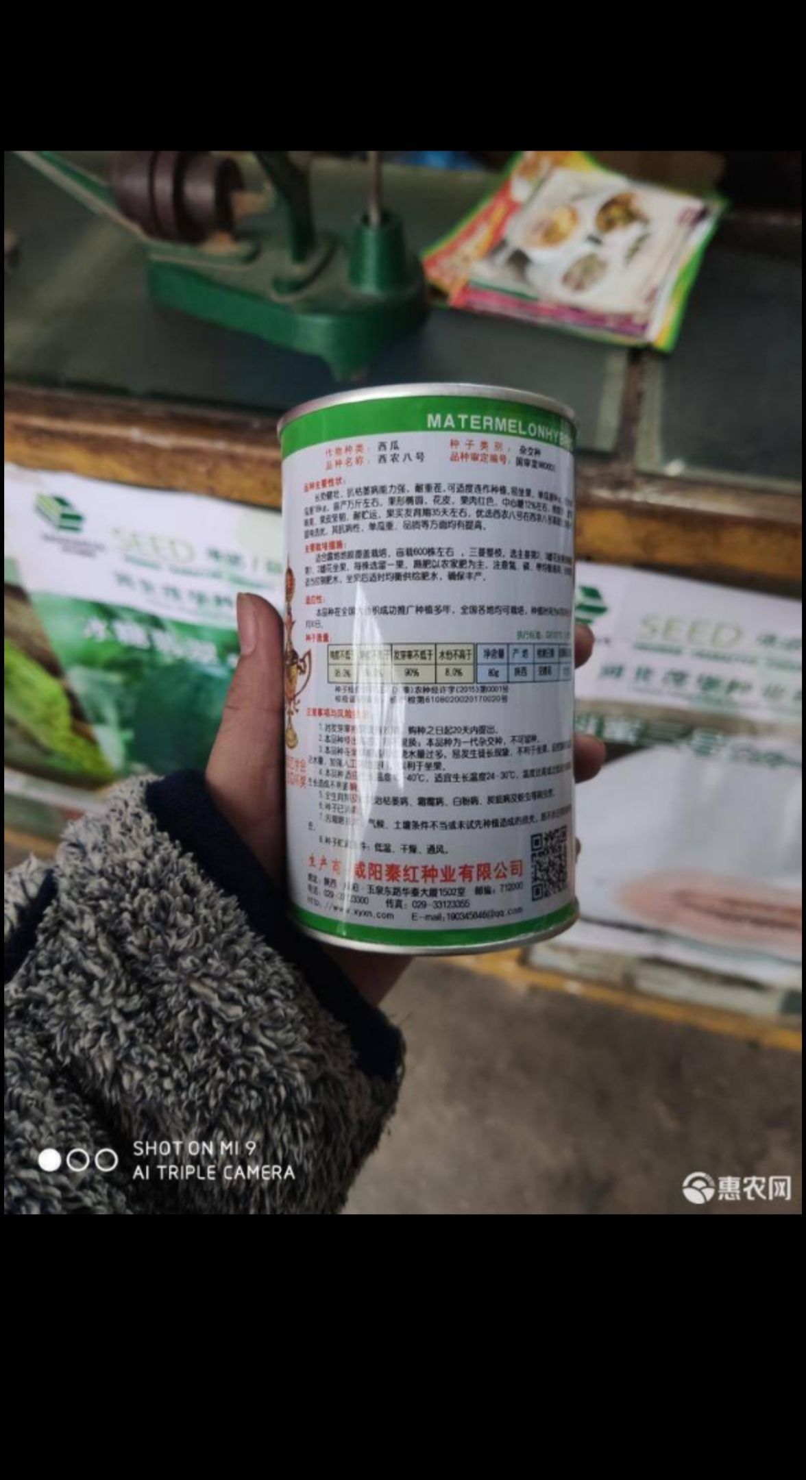  西农8号西瓜种子（80）克  口感好  高产量