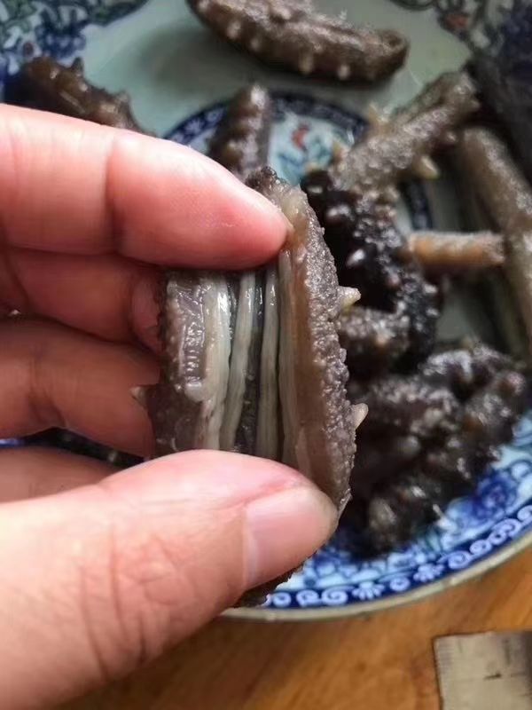  大连纯淡干海参