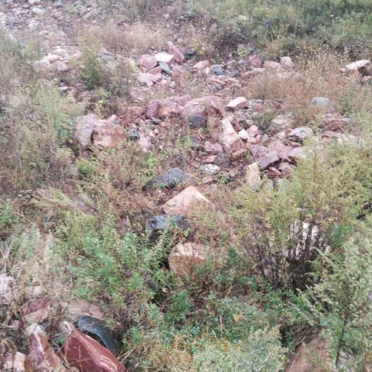 邢台山地 巟山1万亩含自然资源