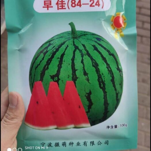 夏邑县 早旱8424西瓜种子  口感好   产量高