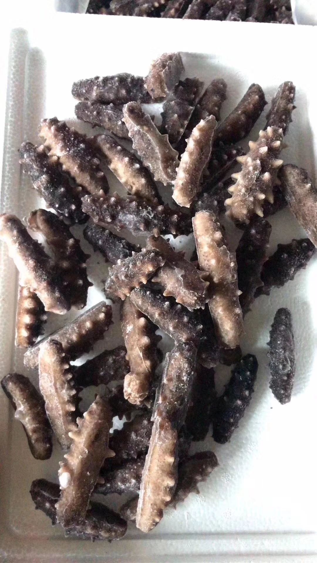  大连纯淡干海参
