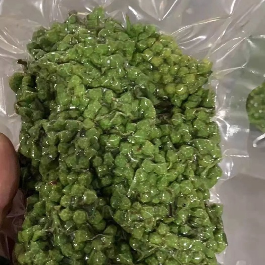 洪雅县 保鲜藤椒，新鲜青花椒，新鲜花椒