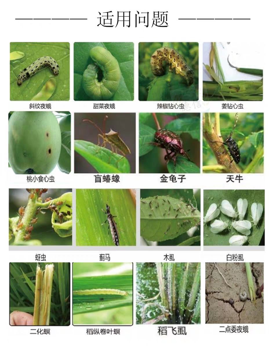  噻虫嗪高氯氟 蚜虫棉铃虫盲蝽象叶蝉木虱地下害虫杀虫剂