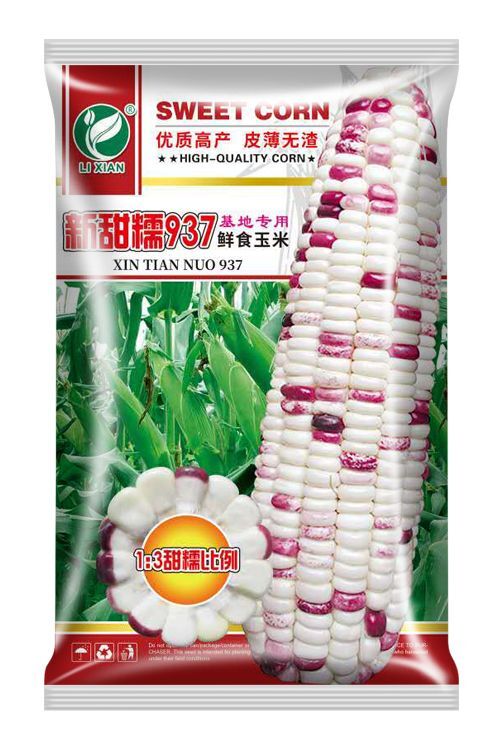 湛江 新甜糯937玉米种子鲜食玉米优质高产皮薄无渣