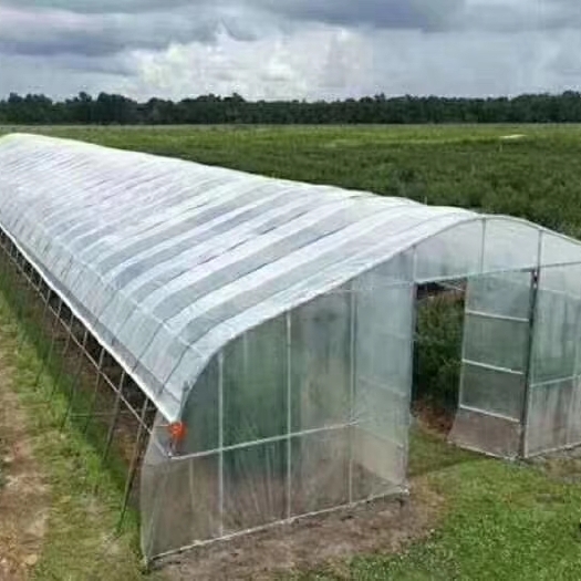 天津 专业生产种植大棚管    养殖大棚管 大棚所有配件等