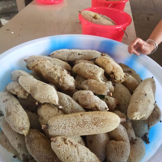 景谷县 云南生态蜂蜜上市了，需要的联系