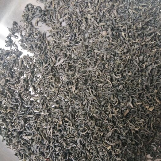 镇远县黔源天印贡茶 天然茶树